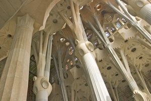 Ceiling Interior